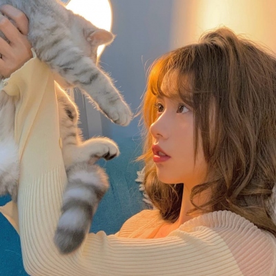 紅葉影視安卓截圖