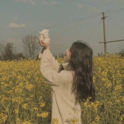 芭樂(lè)app站長(zhǎng)統(tǒng)計(jì)app進(jìn)入2023截圖